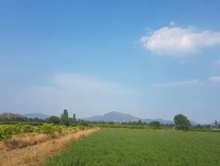 3700 M2 Fertile Field For Sale In Ortaca Fevziye