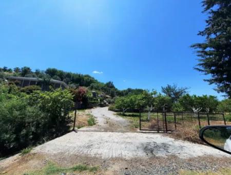 Citrus Garden Detached Land For Sale In Mugla Dalyan 3000 M2