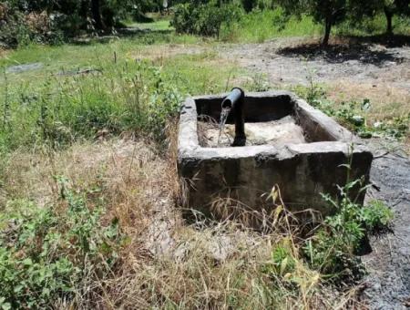 Detached Title Deed Close To The Lake In Köyceğiz 2 650 M2 Citrus Garden For Sale Or Exchange