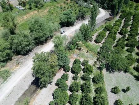 Detached Title Deed Close To The Lake In Köyceğiz 2 650 M2 Citrus Garden For Sale Or Exchange