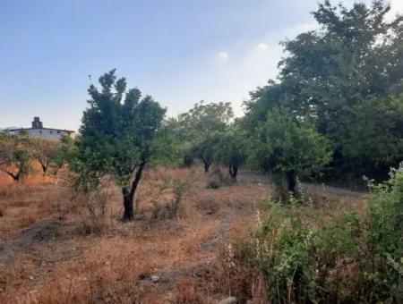 1080 M2 Zoning Land For Sale In Köyceğiz Toparlar