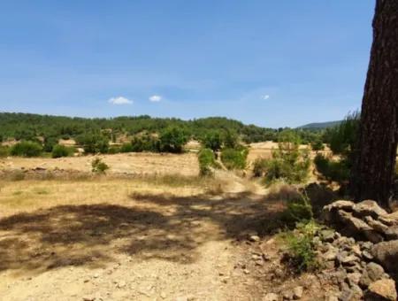 Mugla Menteşe Denizova 1869 M2 Bargain Field For Sale