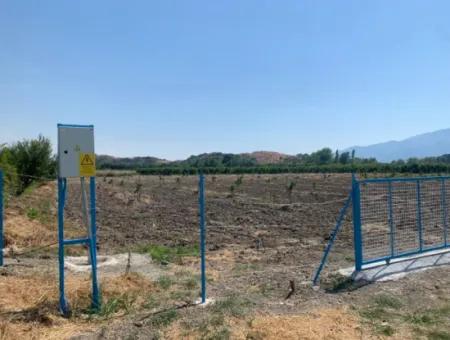 7300 M2 Lemon Field For Sale In Mugla Ortaca Tepearasi