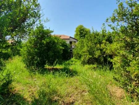 1063 M2 Zoning Land For Sale In Mugla Ortaca Dikmekavak Neighborhood