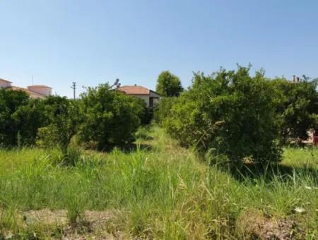 1063 M2 Zoning Land For Sale In Mugla Ortaca Dikmekavak Neighborhood