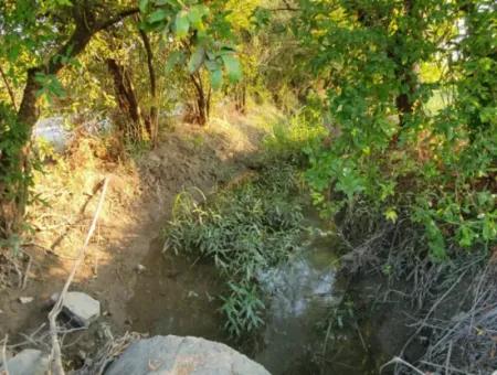 Pomegranate Garden For Sale In Mugla Ortaca Tepearasi