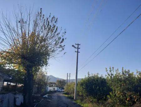 Mugla Ortaca Dalaklı 2000 M2 Land For Sale