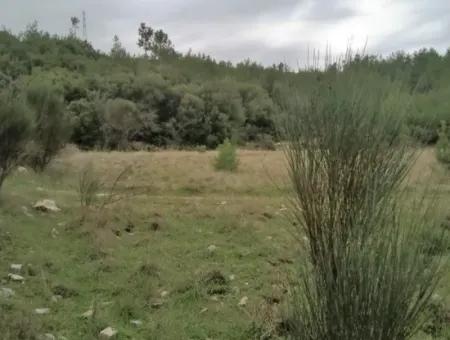 30949 M2 Fertile Field For Sale In Mugla Dalaman Gürleyik