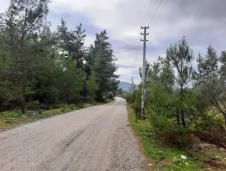 19000 M2 Detached Land With Lake View In Köyceğiz Zeytinalan Is For Sale