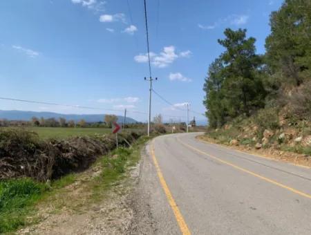 15220 M2 Field For Sale Between Ortaca Tepearasi