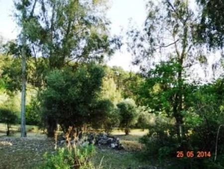 600 M2 Sea View Garden For Sale In Mugla Fethiye Eldirek