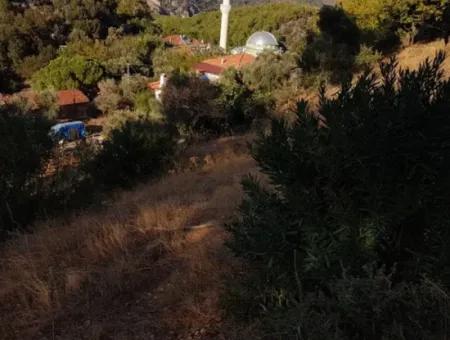 2 500 M2 Detached Bargain Land In Ortaca Gökbel For Sale