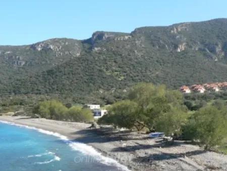 314 M2 Detached Land With Sea View In Datca Summer Is For Sale Or Exchanged