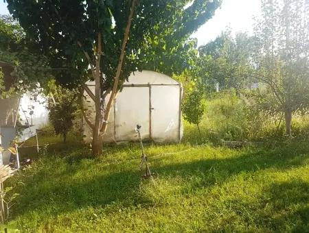 Bargain Plot For Sale In Beyoba