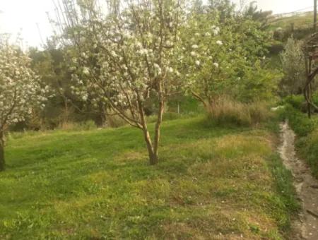 Fethiye Seydikemer Arsaköyn De 900 M2 Side By Side 2 Parcels Apple Orchard For Sale.