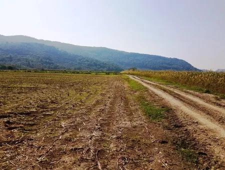 Region Of Fertile Land Rental