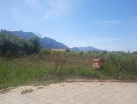 1000 M2 Land For Rent On The Street In Ortaca Dalyan Neighborhood