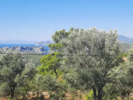 Muğla Gökbelde Lake And Sea View 6 000M2 Land For Sale