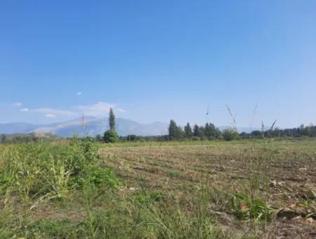 2 650 M2 Fertile Land For Sale In Köyceğiz Poplar