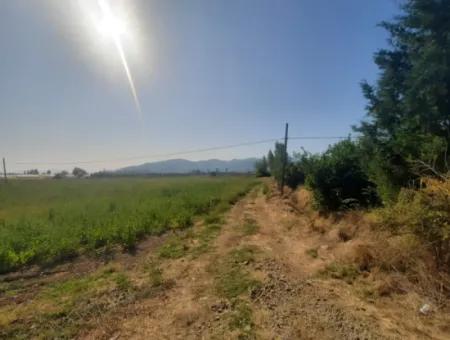 Muğla Ortaca Ekşiliyurt 8.000 M2 Fertile Land For Sale
