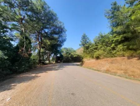 Muğla Ortaca Ekşiliyurt 8.000 M2 Fertile Land For Sale