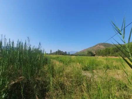 Muğla Ortaca Ekşiliyurt 8.000 M2 Fertile Land For Sale