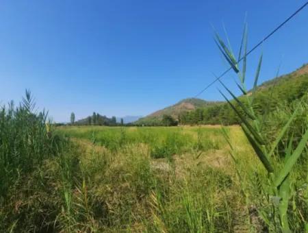 Muğla Ortaca Ekşiliyurt 8.000 M2 Fertile Land For Sale