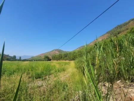 Muğla Ortaca Ekşiliyurt 8.000 M2 Fertile Land For Sale