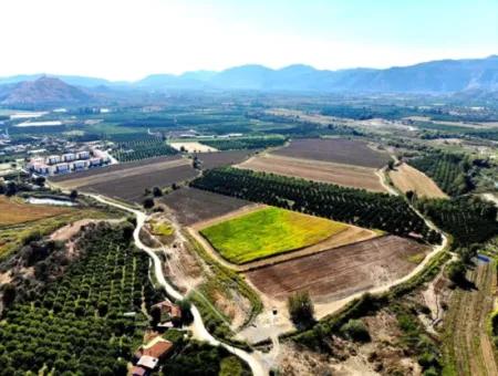 250 000 M2 Field For Sale In Dalaman Altıntaş