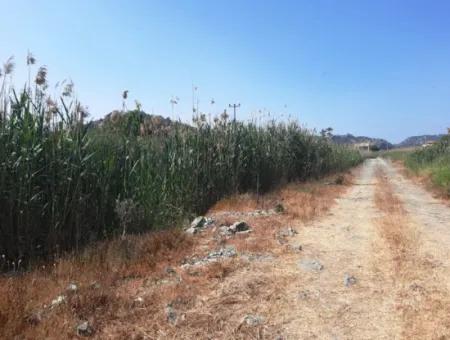 14300 M2 Land Suitable For Investment For Sale In Muğla Ortaca Sarıgerme