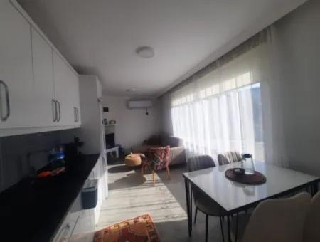 2 Units Of 1 1 Apartment For Sale On 1700 M2 Detached Land In Muğla Gökbel