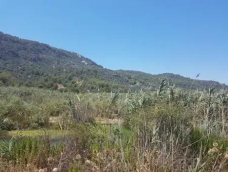 14.300 M² Rental Land In Ortaca Sarıgerme, Muğla – Suitable For Tourism And Commercial Investment