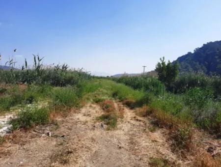 14.300 M² Rental Land In Ortaca Sarıgerme, Muğla – Suitable For Tourism And Commercial Investment