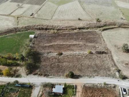 5.000 M2 Detached Land Suitable For Investment In Çameli Belevi For Sale