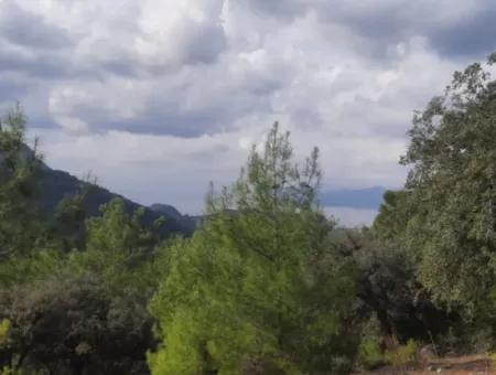 Muğla Dalyan Gökbelde 7 270 M2 Detached Title Deed Sea And Lake View Land For Sale