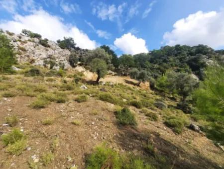 Muğla Dalyan Gökbelde 7 270 M2 Detached Title Deed Sea And Lake View Land For Sale