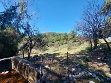 2 400 M2 Field For Sale In Muğla Ortaca Gökbelde Nature