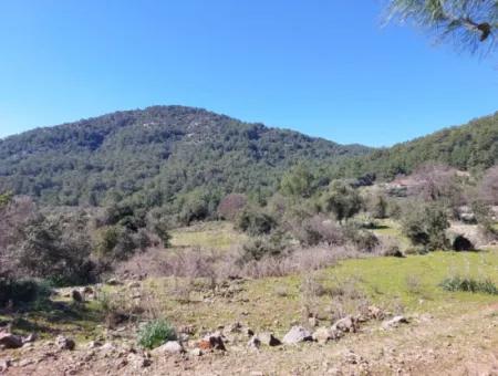 2 400 M2 Field For Sale In Muğla Ortaca Gökbelde Nature