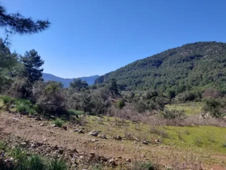 2 400 M2 Field For Sale In Muğla Ortaca Gökbelde Nature