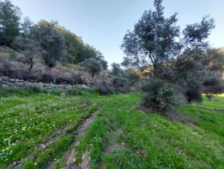 1000 M2 Land For Sale In Ortaca Gökbelde Detached Nature