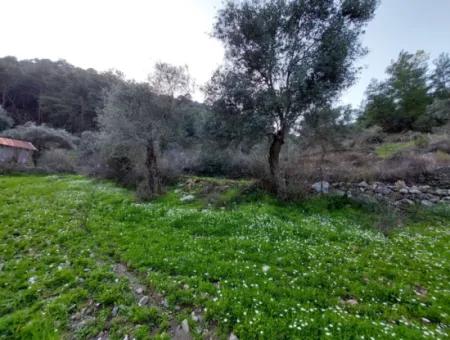 1000 M2 Land For Sale In Ortaca Gökbelde Detached Nature