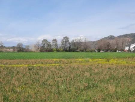 2.000 M2 Land In Muğla Okçular, Village Built-Up Area For Sale