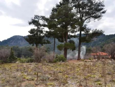 Fethiye, Nifte, 2 000 M2, Detached For Sale, Bargain Land