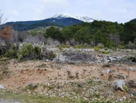 Fethiye, Nifte, 2 000 M2, Detached For Sale, Bargain Land