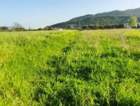 Rızai Taksimli 798 M2 Field For Sale In Muğla Ortaca Fevziye Neighborhood