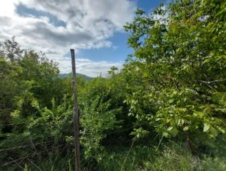 300 M2 Residential Land For Sale In The Center Of Çameli