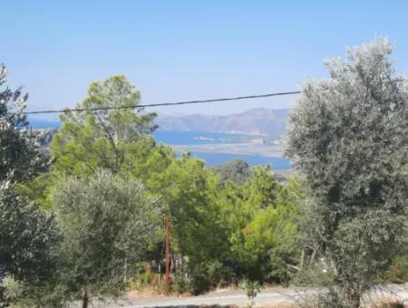 Muğla Dalyan Gökbelde Sea View, Swimming Pool, 1800 M2 Land 2 1 Furnished Stone House For Rent