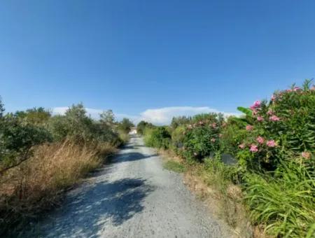 817 M2 Zoned Land For Sale In Muğla, Dalyan