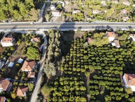 2.800 M² Commercial/Residential Zoned Land For Sale In Köyceğiz Toparlar Facing The Main Road