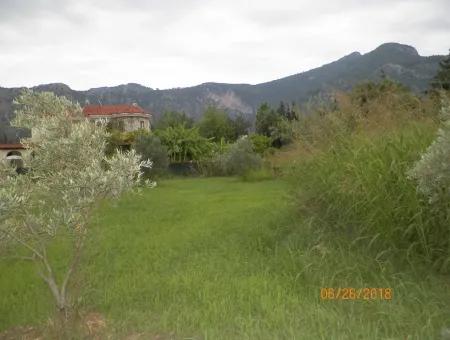 Land For Sale In Dalyan, Property For Sale Bargain